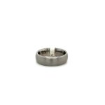Titanium Brushed Band